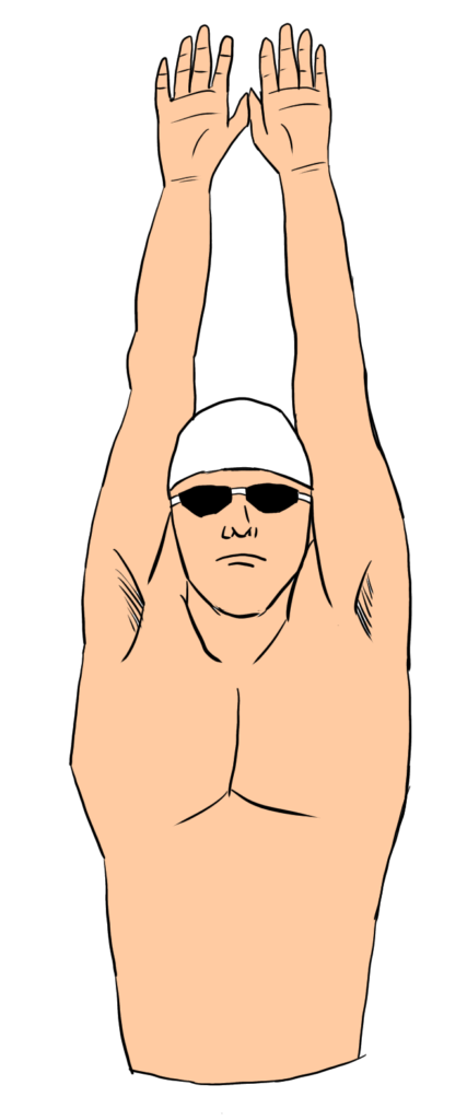 水泳ストリームライン姿勢 上半身 アカデミックイラスト素材サイト
